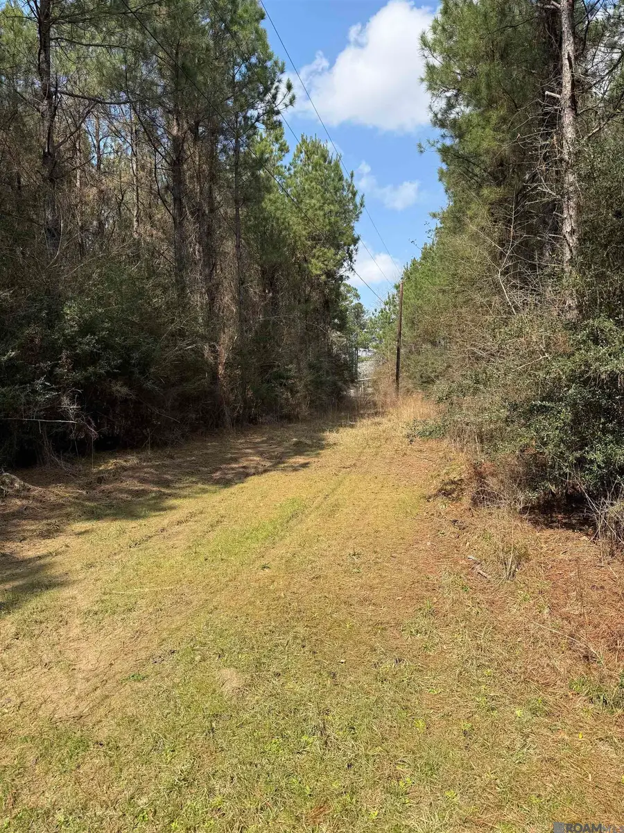 TBD Terrell Rd, Montpelier, LA 70441 - #2