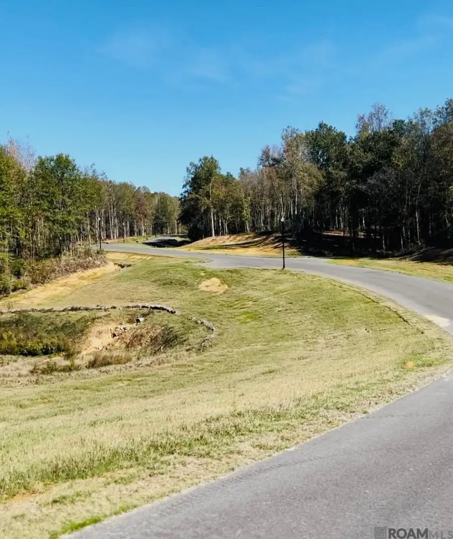 4009 Oak Run Dr, Saint Francisville, LA 70775 - #3