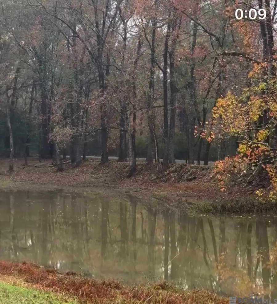 4039 Oak Run Dr, Saint Francisville, LA 70775 - #3