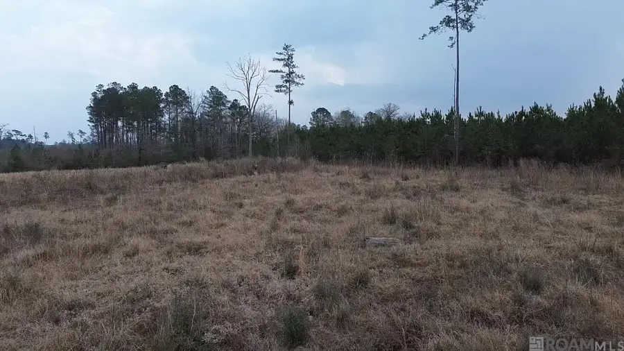 Tract 1A Teal Mcdaniel Rd, Greensburg, LA 70441 - #3