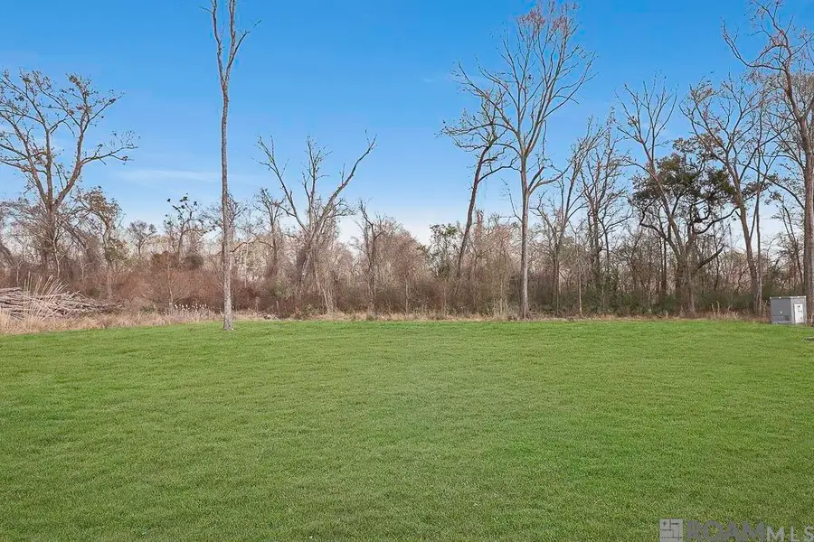 38384 N Robert Wilson Rd, Gonzales, LA 70737 - #3