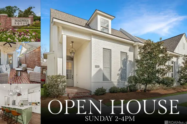 13374 Virage Ct, Baton Rouge, LA 70818