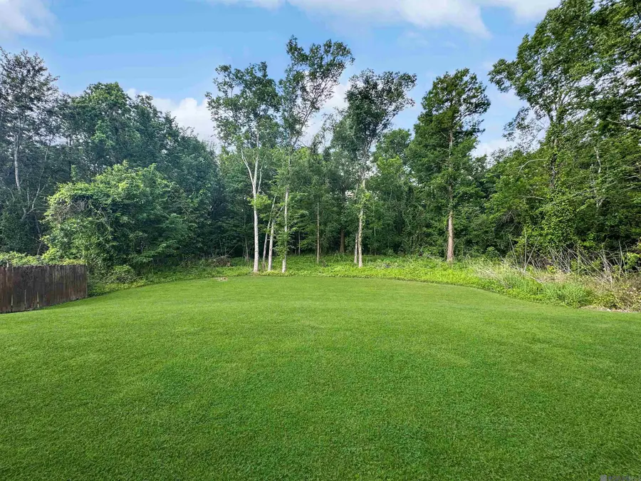 18103 Forest Hills Dr, Prairieville, LA 70769 - #2
