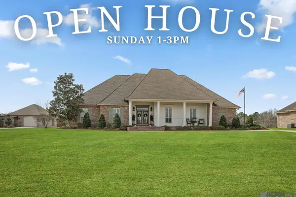 10369 Buddy Gore Rd, Gonzales, LA 70737