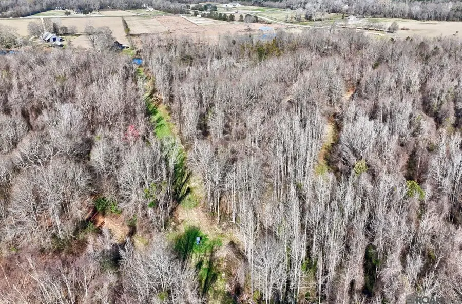 E-1-E-1-E La Hwy 67, Zachary, LA 70791 - #3