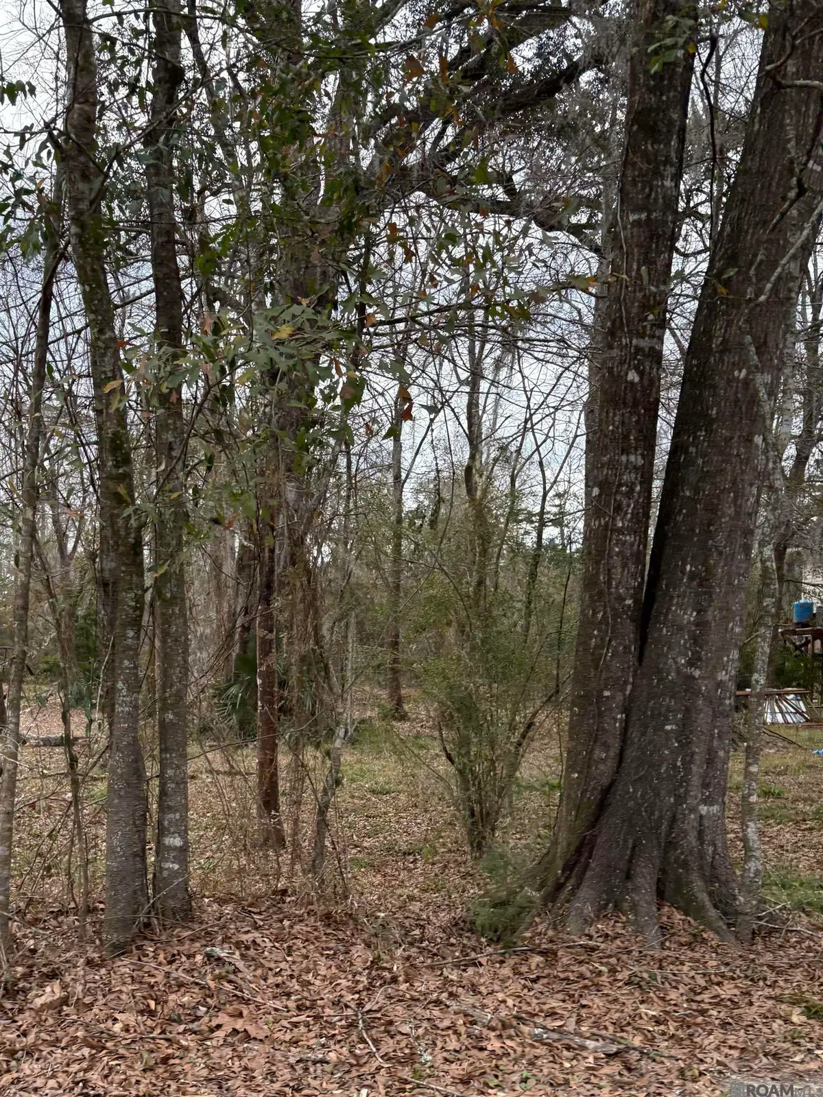 TBD Amite River Rd, Baton Rouge, LA 70817 - #1