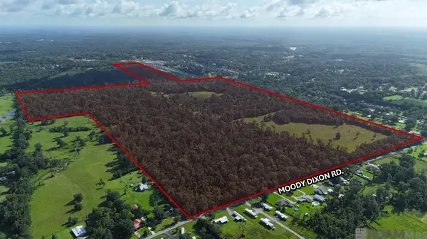 42420 Moody Dixon Rd, Prairieville, LA 70769