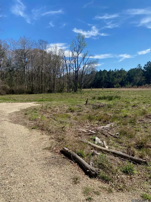 B-1-A-3 Spring House Dr, Greenwell Springs, LA 70739