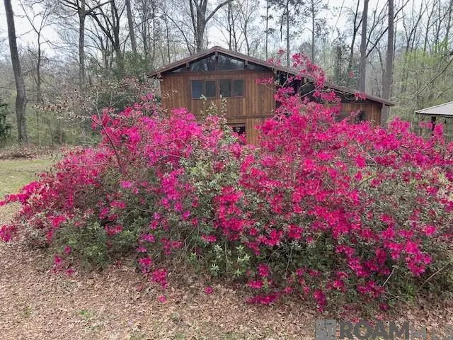 10894 Bains Rd, Saint Francisville, LA 70775 - #2