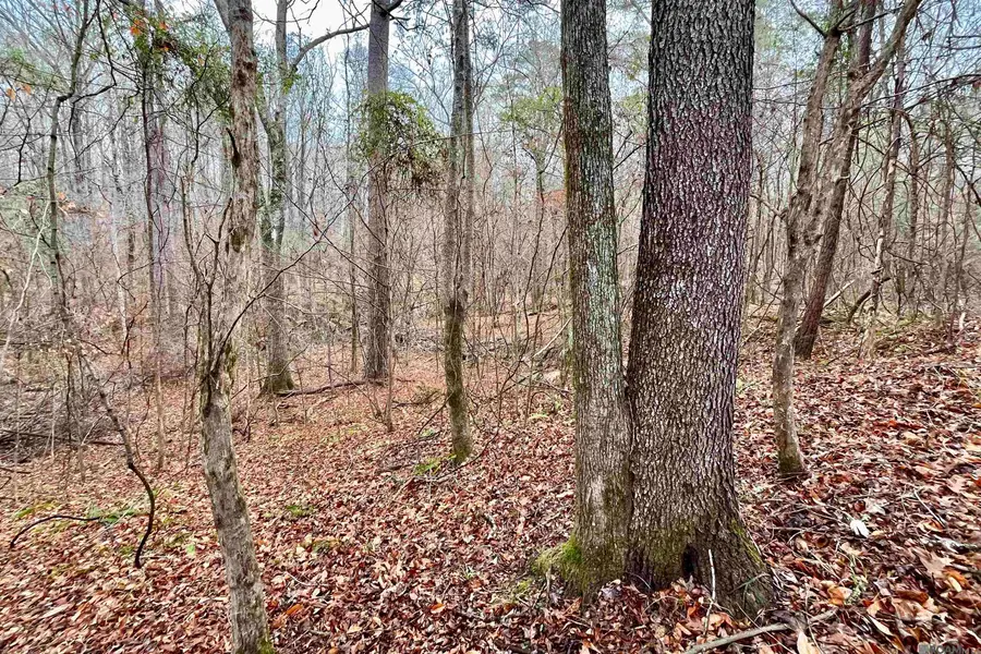 10078 Old Port Gibson Road, Hermanville, MS 39086 - #2