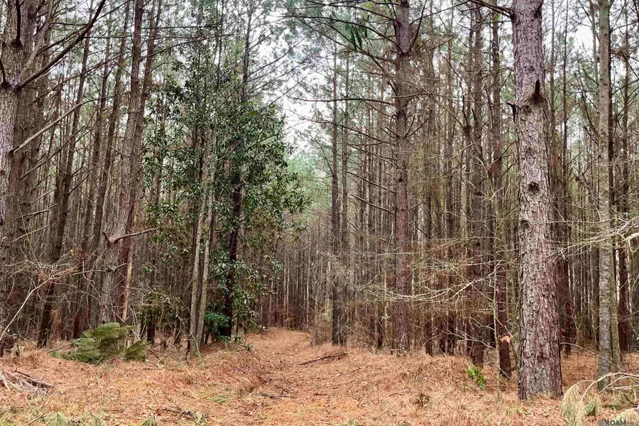 10078 Old Port Gibson Road, Hermanville, MS 39086 - #3