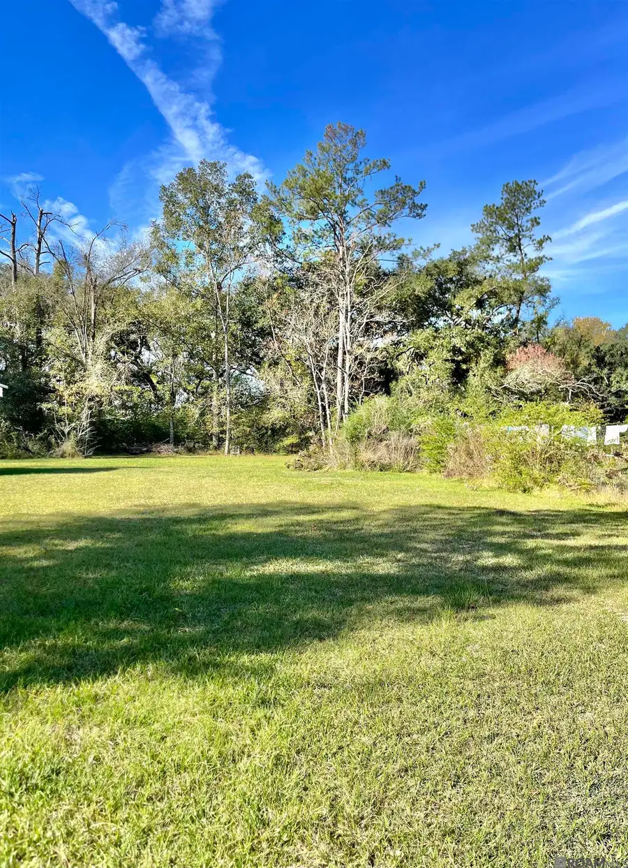 25163 West St, Springfield, LA 70462 - #2