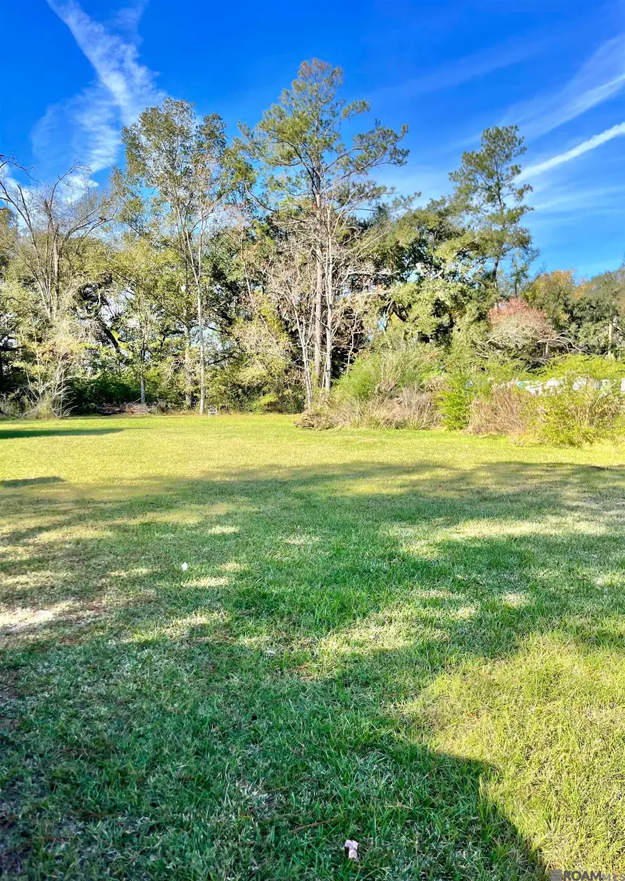 25163 West St, Springfield, LA 70462 - #3