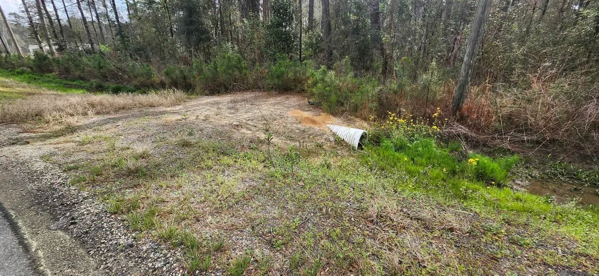 Tract A-6 Reinninger Rd, Denham Springs, LA 70706 - #1