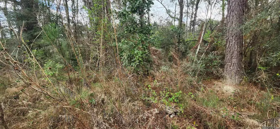 Tract A-6 Reinninger Rd, Denham Springs, LA 70706 - #3