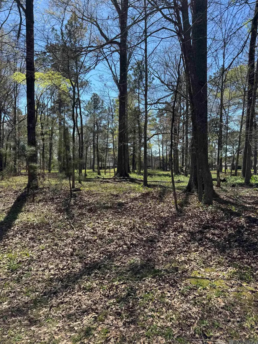 3995 White Oak Alley, Saint Francisville, LA 70775 - #2