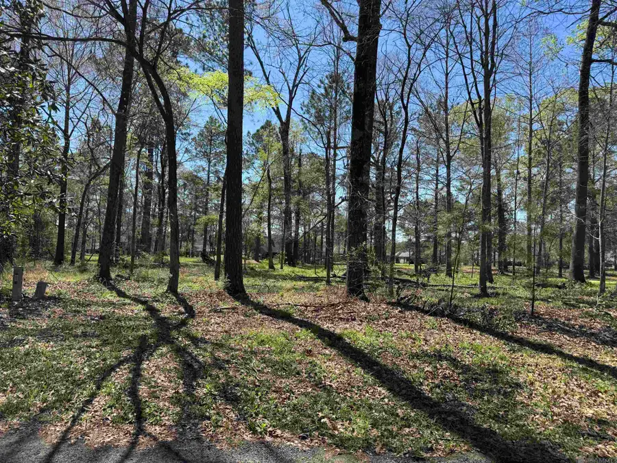 3995 White Oak Alley, Saint Francisville, LA 70775 - #3