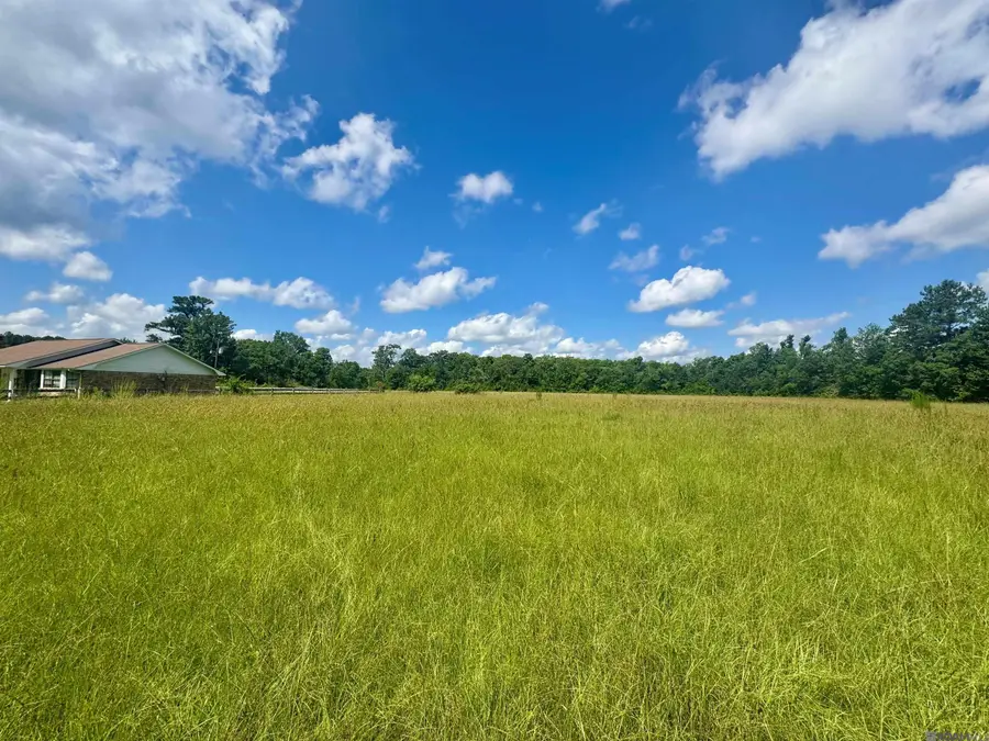 TBD Aydell Ln, French Settlement, LA 70733 - #2