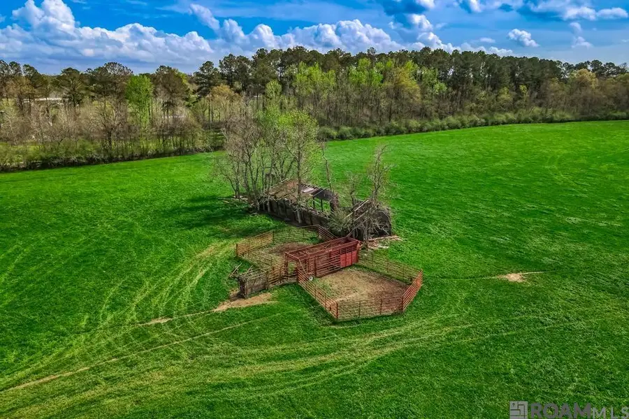 La Hwy 1063, Independence, LA 70443 - #3