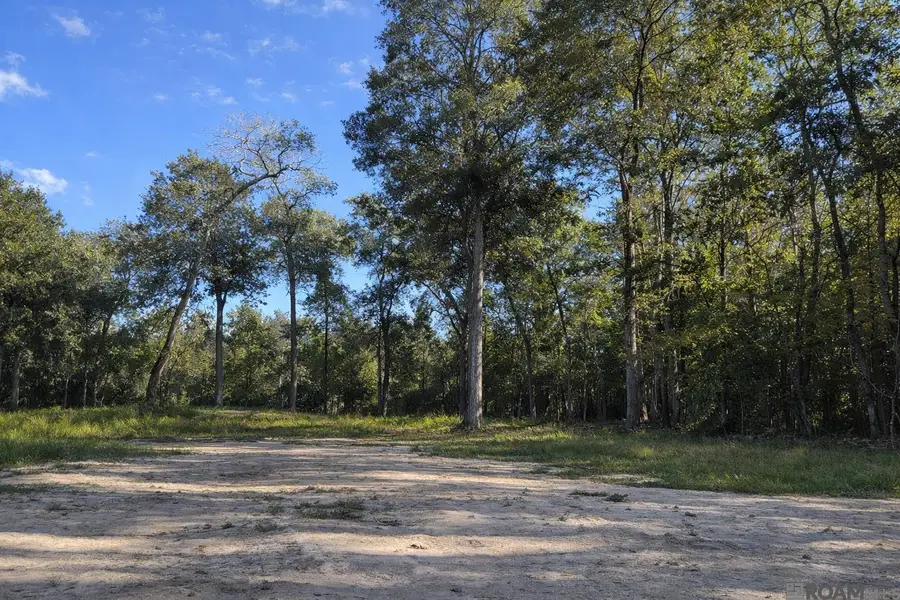 Lots TBD Old Live Oak Dr, Denham Springs, LA 70706 - #3
