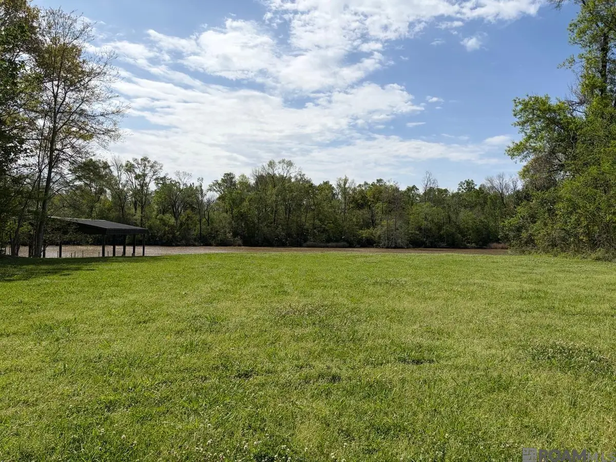 21967 Waterfront East Dr, Maurepas, LA 70449 - #1