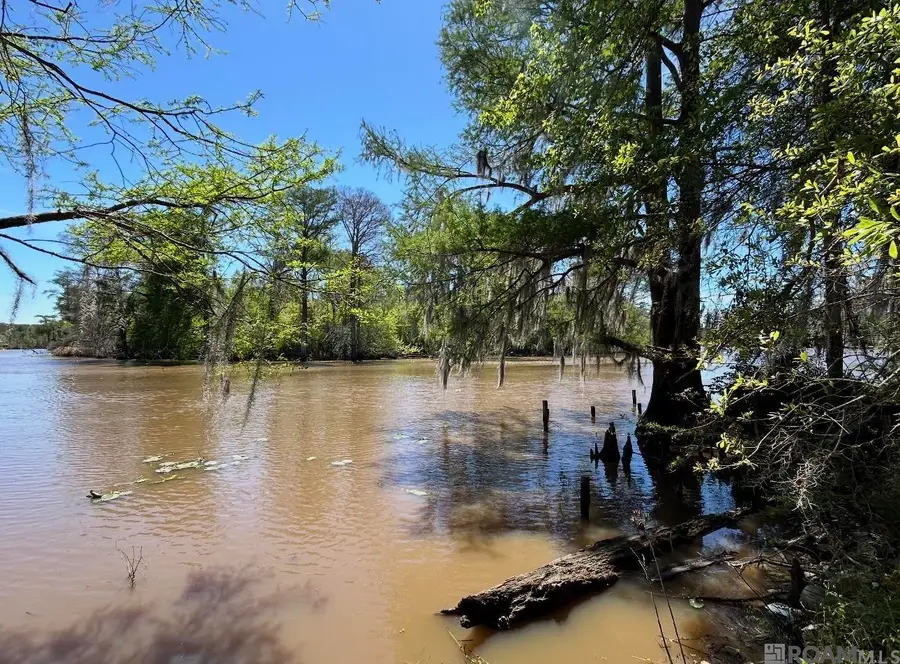 Lot 24 La Trace Rd, Livingston, LA 70754 - #2