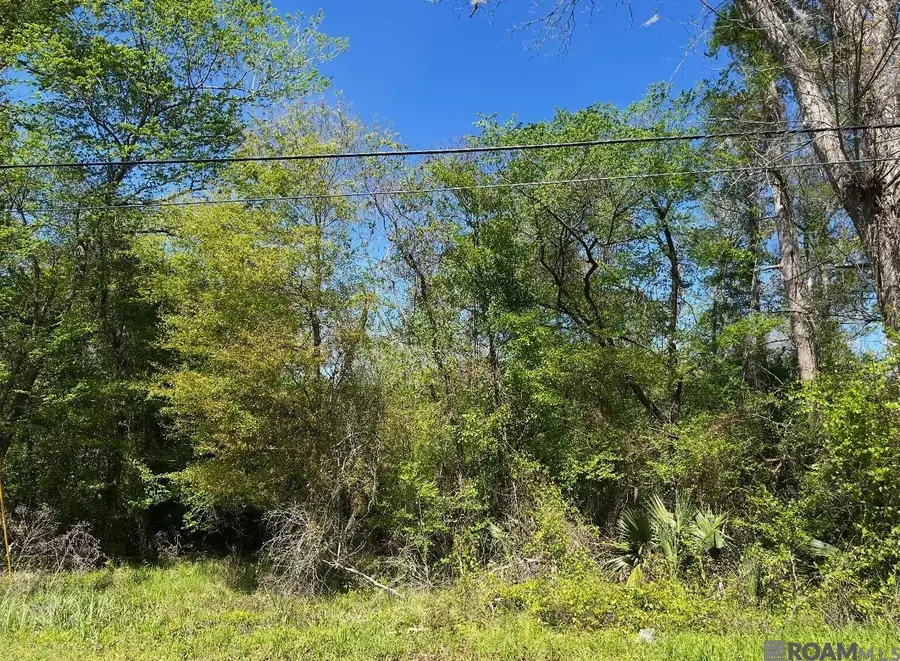 Lot 24 La Trace Rd, Livingston, LA 70754 - #3