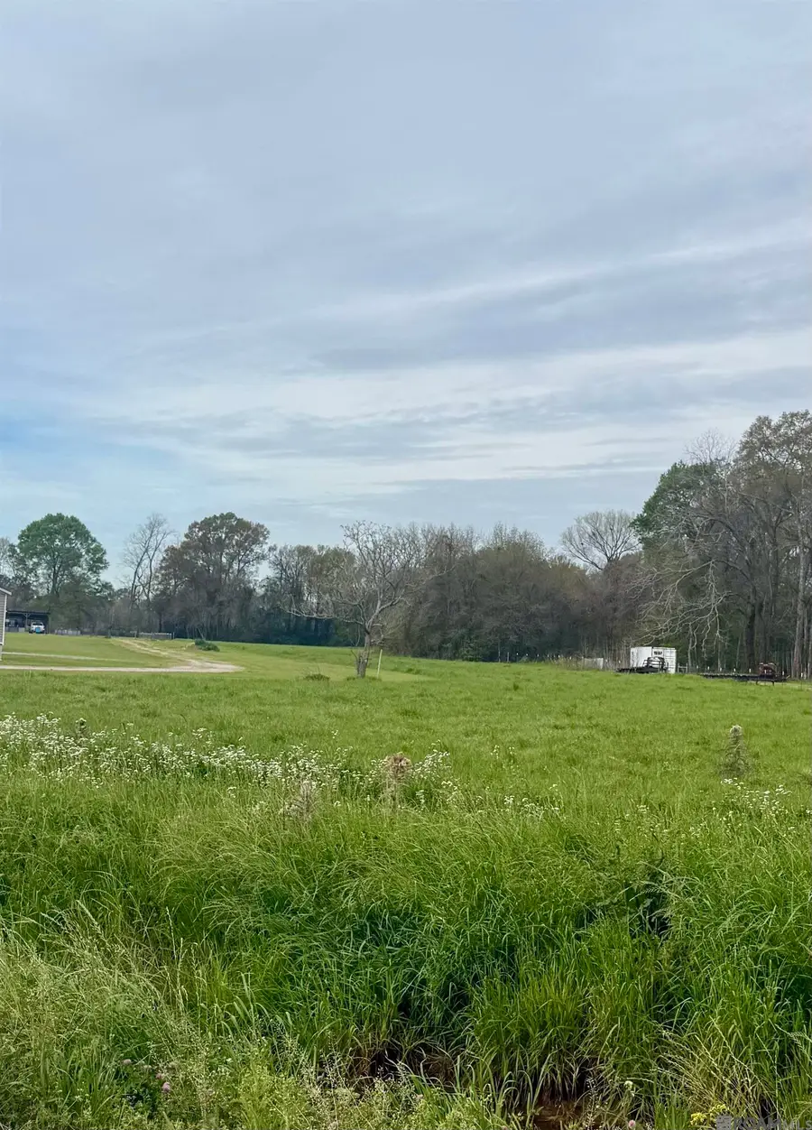 TBD Oakland Rd, Lakeland, LA 70752 - #2