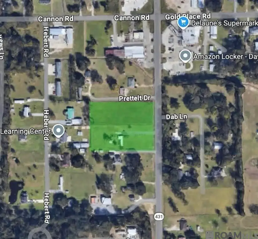 TBA La Hwy 431, Saint Amant, LA 70774 - #2