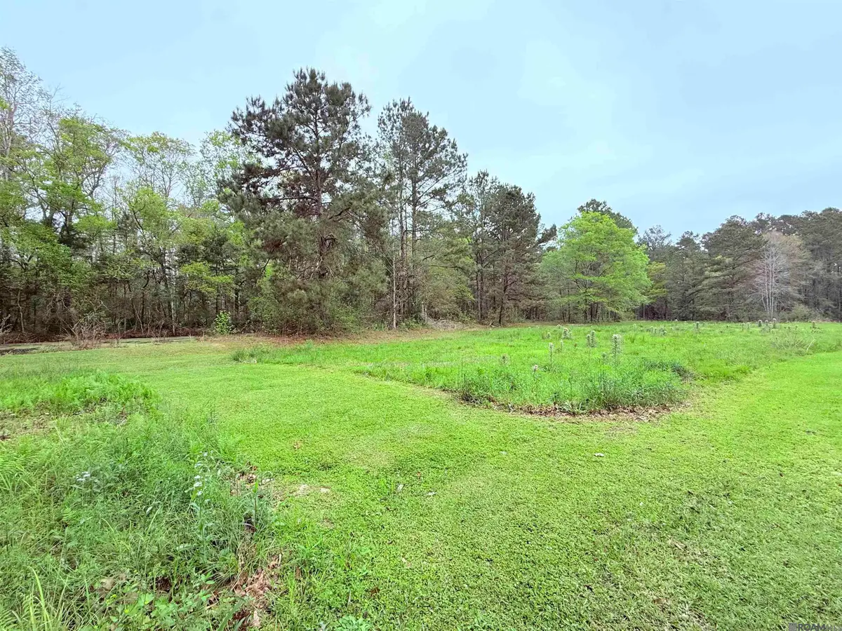 19425 Grantham Rd, Livingston, LA 70754 - #1