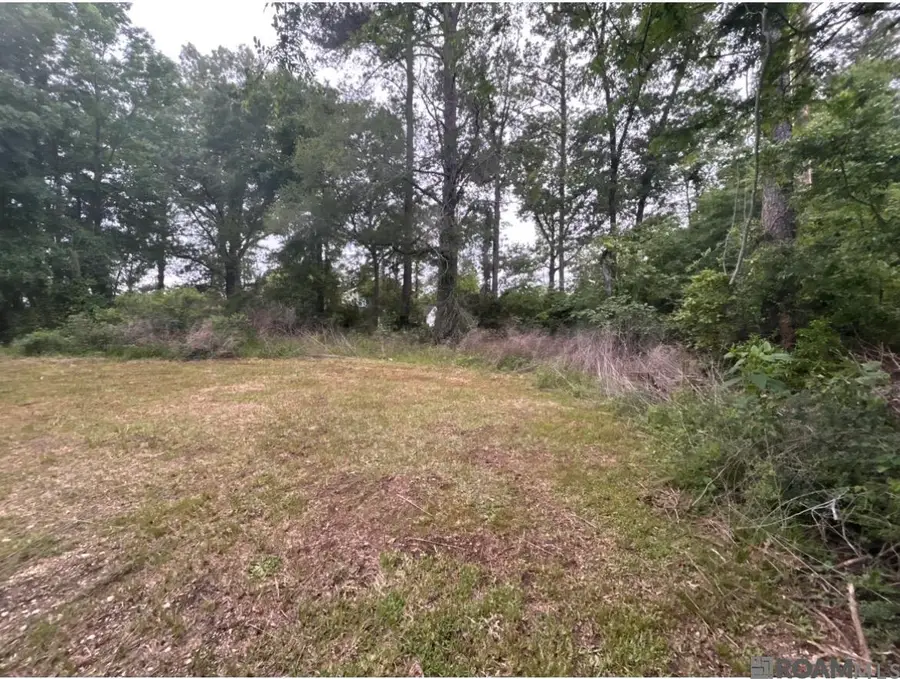 31937 William Kelly Ln, Denham Springs, LA 70726 - #2