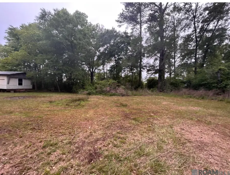 31937 William Kelly Ln, Denham Springs, LA 70726 - #3