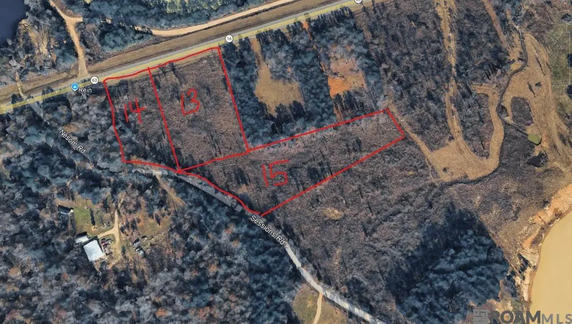 Lot 15 Nesom Rd, Denham Springs, LA 70706 - #1