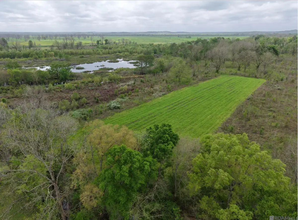 1558 Coco Dr, Cloutierville, LA 71416 - #1