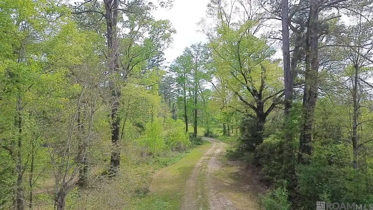 10924 Arnold Rd, Denham Springs, LA 70726 - #1