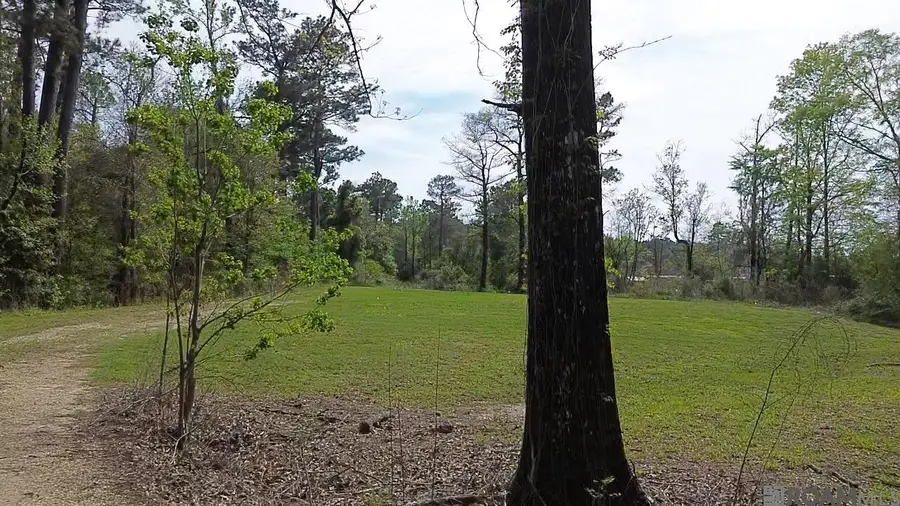 10924 Arnold Rd, Denham Springs, LA 70726 - #2
