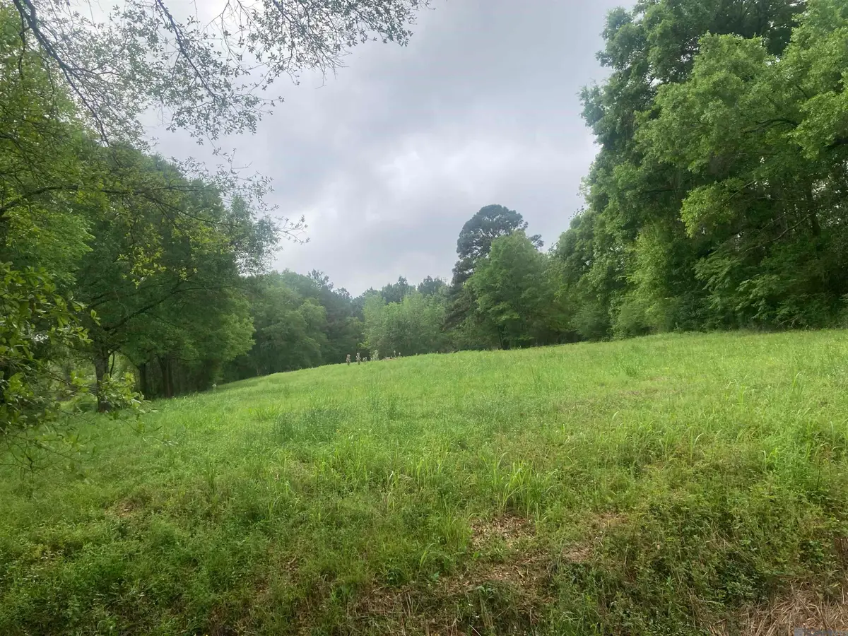 1218 Rodeo Dr, Denham Springs, LA 70726 - #1