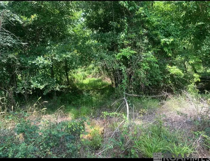 Amite River Rd, Baton Rouge, LA 70817 - #2