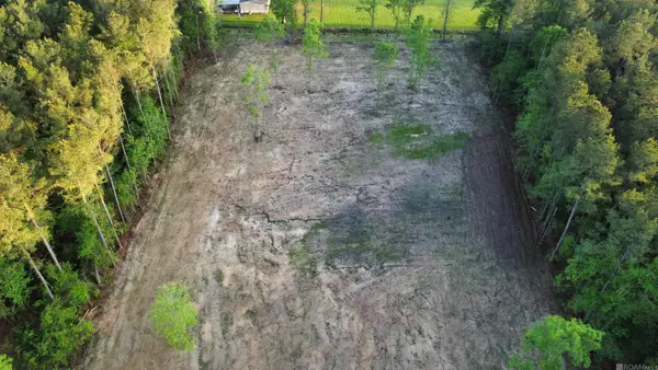 21154 Butterbean Ridge, Livingston, LA 70754