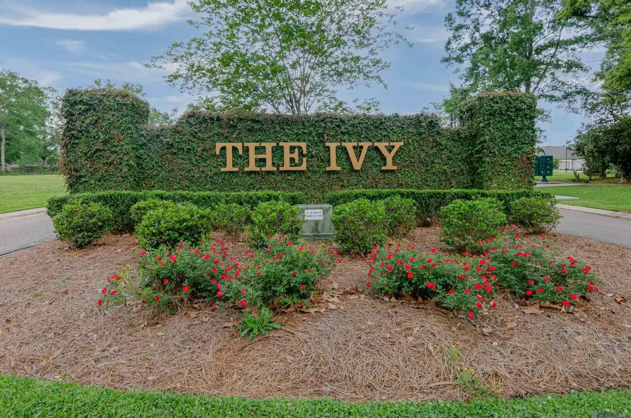 1108 Irish Ivy, Denham Springs, LA 70726 - #2