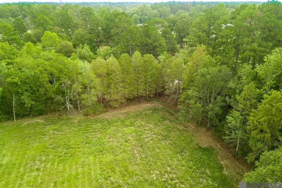 TBD S Anne Dr, Walker, LA 70785 - #2
