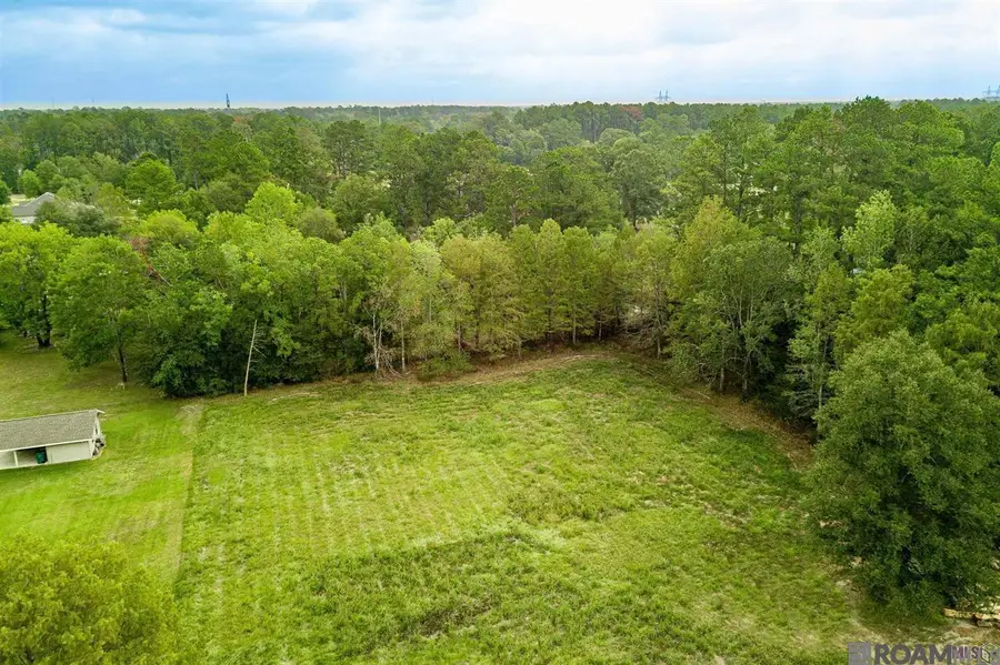 TBD S Anne Dr, Walker, LA 70785 - #3