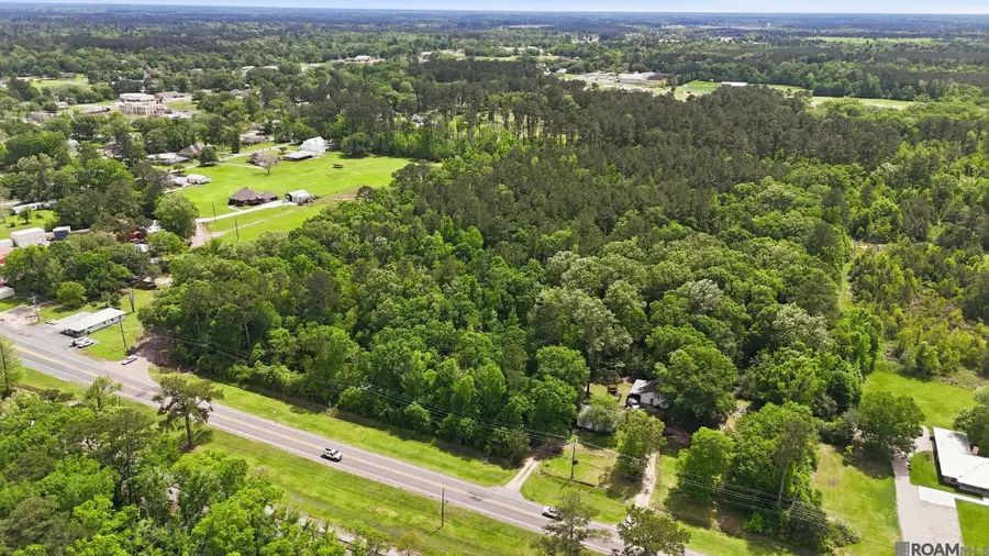 TBD Hwy 190, Livingston, LA 70754 - #3