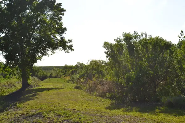 TBD Alex Plaisance Boulevard, Golden Meadow, LA 70357