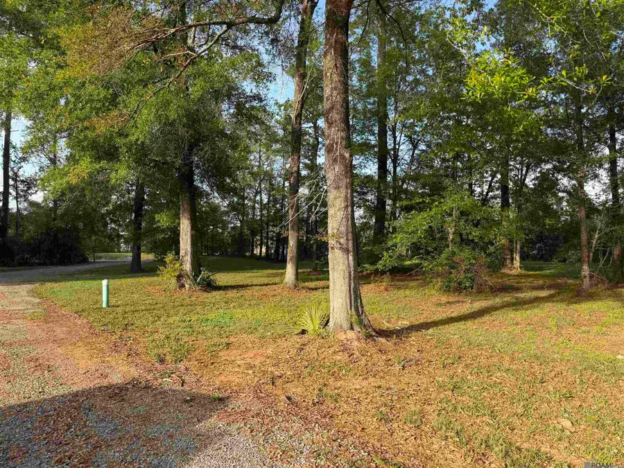 1-B-2-A-3 Clinton Allen Rd, Denham Springs, LA 70706 - #3