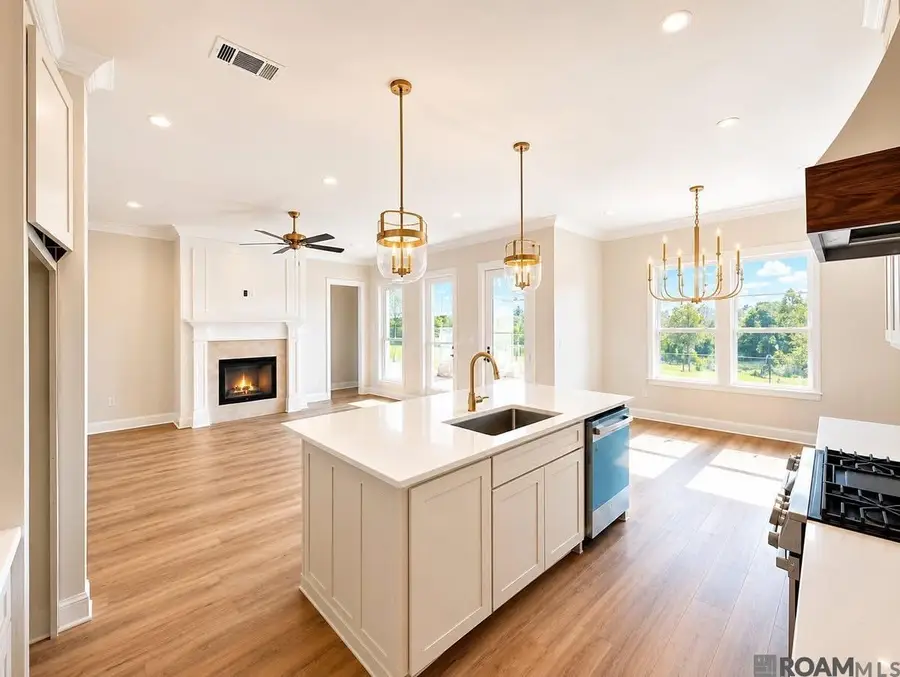 29433 Northlake Drive, Denham Springs, LA 70726 - #3