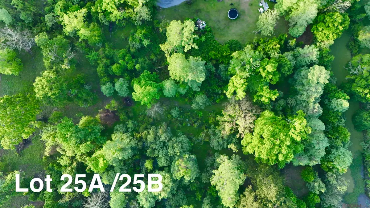 17007 Summerfield South Rd, Prairieville, LA 70769 - #1