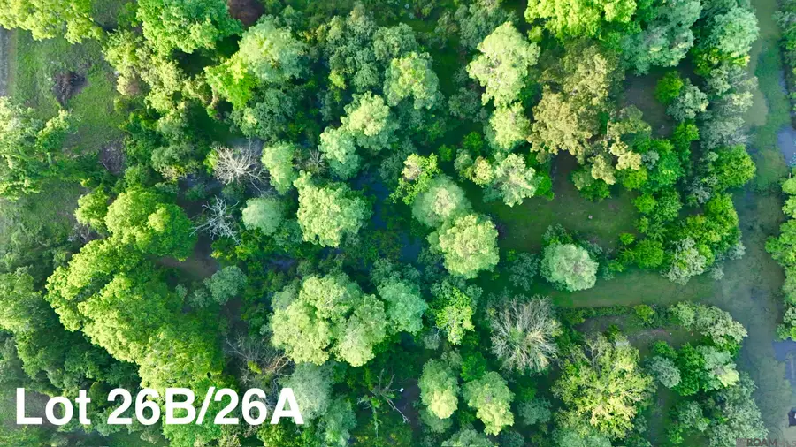 17007 Summerfield South Rd, Prairieville, LA 70769 - #2