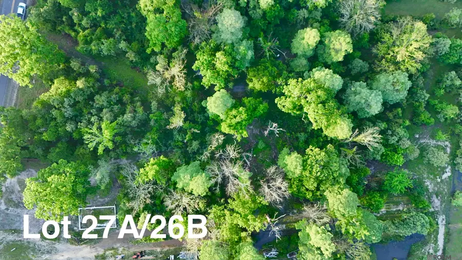 17007 Summerfield South Rd, Prairieville, LA 70769 - #3