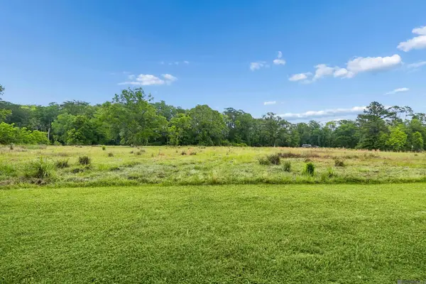 17037 La Hwy 431, Prairieville, LA 70769